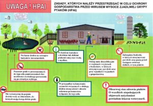 Miniaturka artykułu UWAGA – Ptasia Grypa