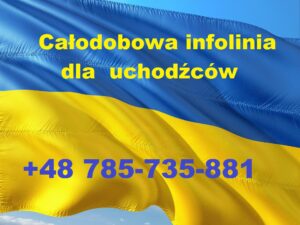 Miniaturka artykułu ĐŚŃĐťĐžĐ´ĐžĐąĐžĐ˛Đ° ĐłĐ°ŃŃŃĐ° ĐťŃĐ˝ŃŃ – Infolinia dla uchodżców z Ukrainy.