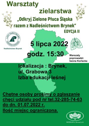 Miniaturka artykułu Warsztaty Zielarstwa „Odkryj Zielone Płuca Śląska razem z Nadleśnictwem Brynek”