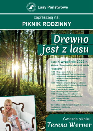 Miniaturka artykułu Rodzinny piknik „Drewno jest z lasu”