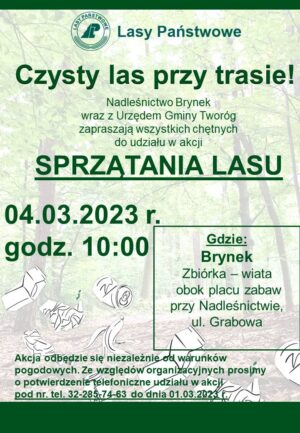 Miniaturka artykułu Czysty las przy trasie!