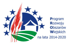 Miniaturka artykułu Podstawowe usługi i odnowa wsi na obszarach wiejskich