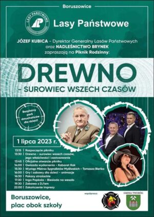 Miniaturka artykułu Drewno – surowiec wszech czasów