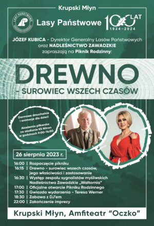 Miniaturka artykułu Drewno – surowiec wszech czasów