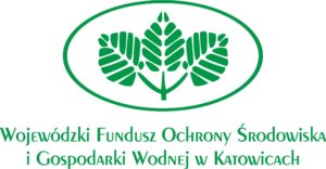 Miniaturka artykułu Wyjazd – Zielona Szkoła