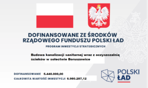 Miniaturka artykułu Budowa kanalizacji sanitarnej wraz z oczyszczalnią ścieków w sołectwie Boruszowice