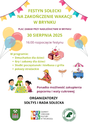 Miniaturka artykułu Festyn Sołecki na zakończenie wakacji w Brynku